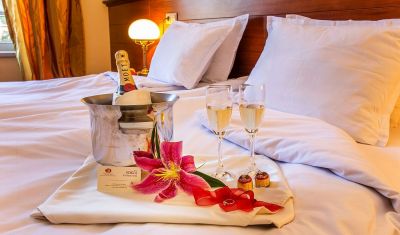 Imagine pentru Hotel Sokol 3* valabile pentru Revelion 2026