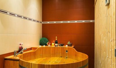 Imagine pentru Hotel Sokol 3* valabile pentru Revelion 2026