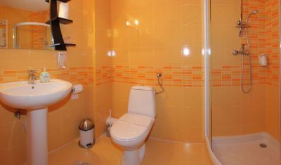 Imagine pentru Hotel Victoria 3* valabile pentru Revelion 2026
