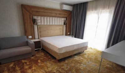 Imagine pentru Pensiunea Palace 4* valabile pentru Revelion 2026