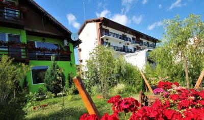 Imagine pentru Pensiunea si Casa Danubia 4* valabile pentru Revelion 2026