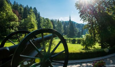 Imagine pentru Vila Economat 4* valabile pentru Revelion 2026