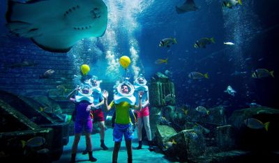 Imagine pentru Hotel Atlantis The Palm 5* valabile pentru Sezon 