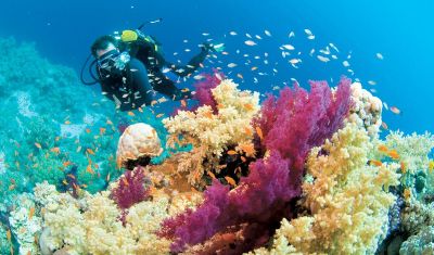 Imagine pentru Grand Case Beach Club 4* valabile pentru Vara/Toamna 