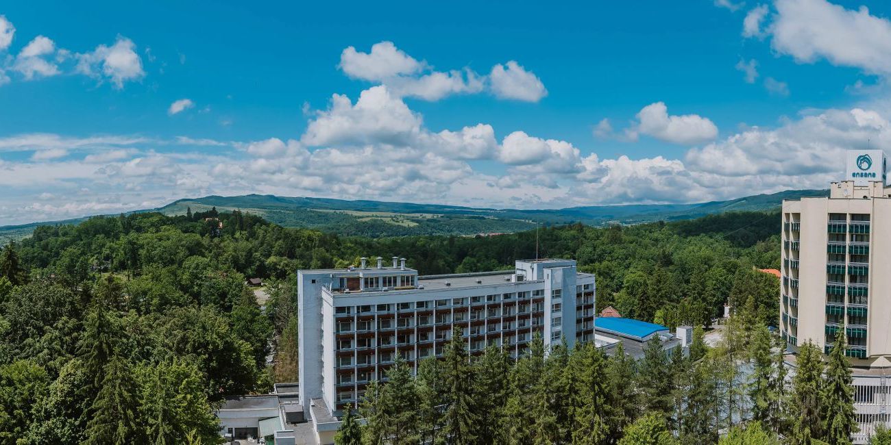 Oferta pentru Craciun 2025 Hotel Ursina Ensana Health Spa 3* - Demipensiune